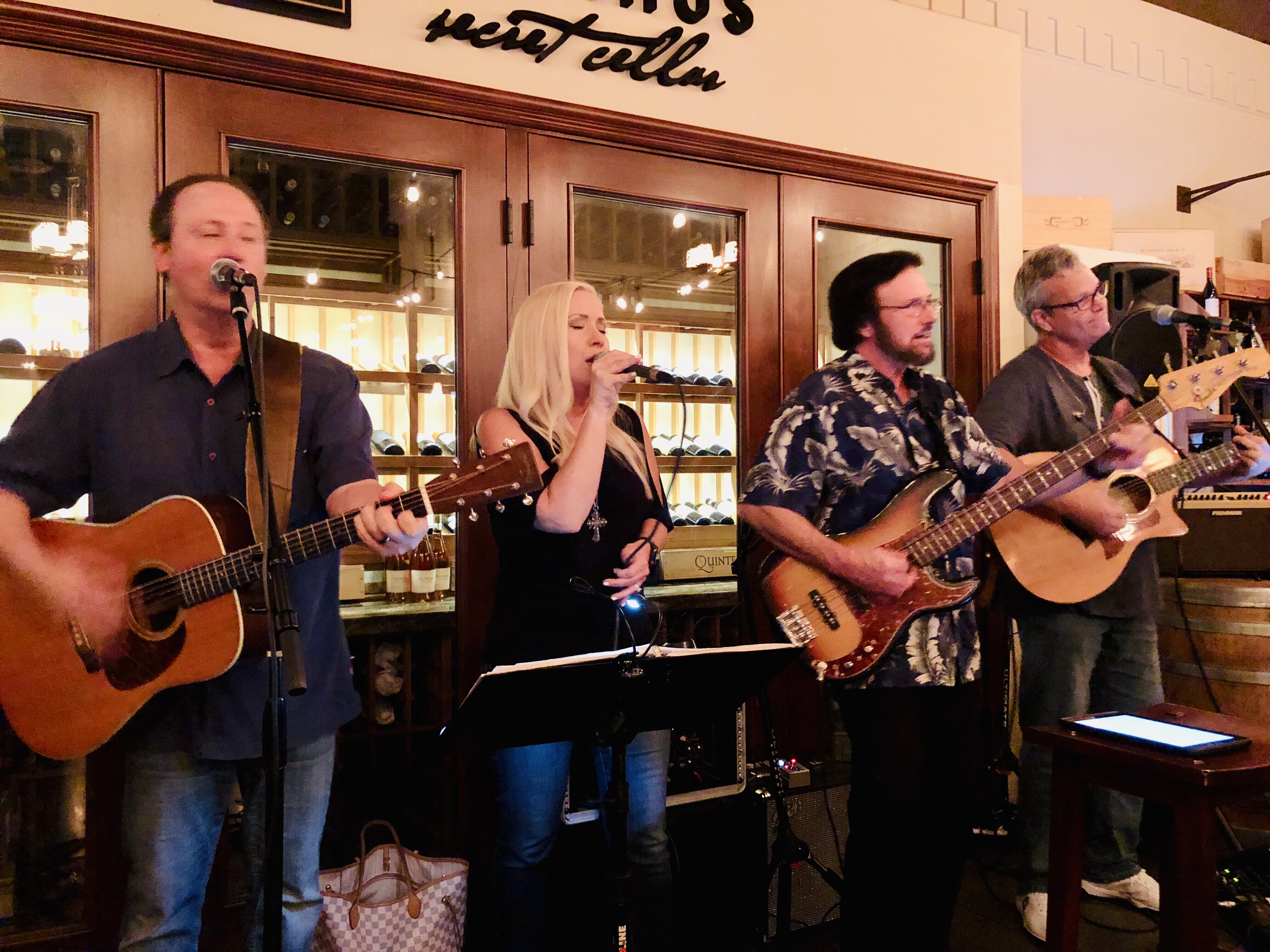 PointMade Music Matt Denembo Carol DeNembo Don Wieland Hadley Hockensmith