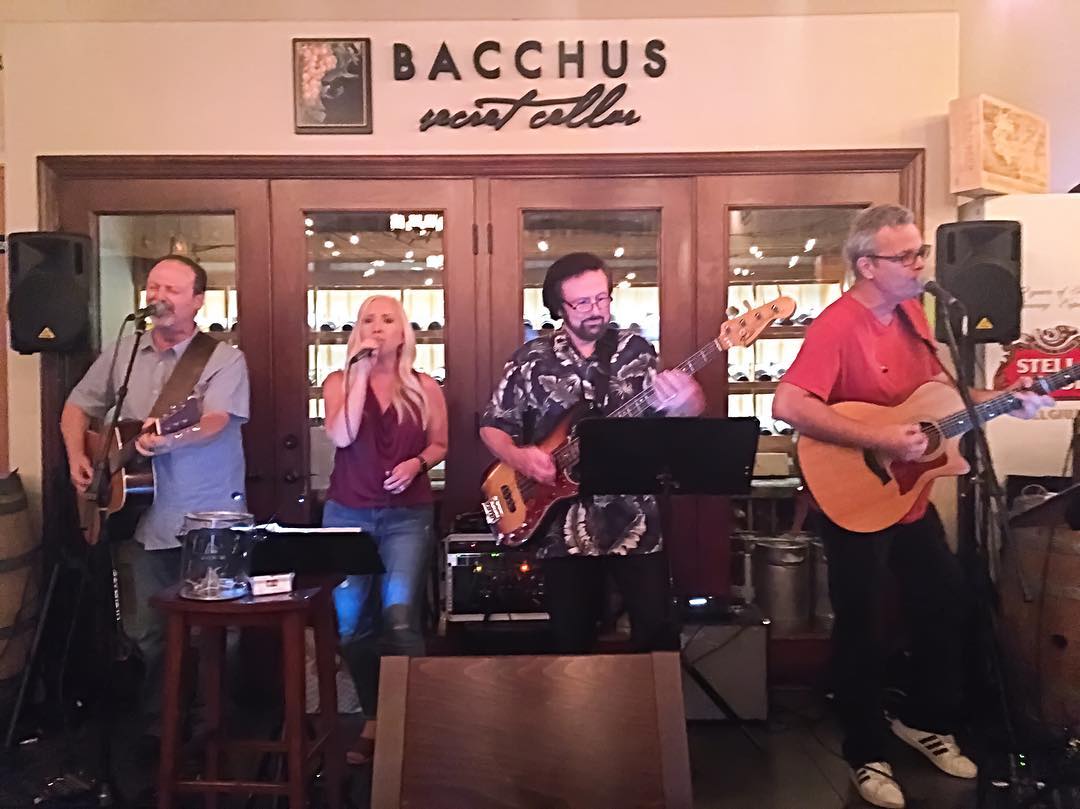 PointMade Music Matt Denembo Carol DeNembo Don Wieland Hadley Hockensmith